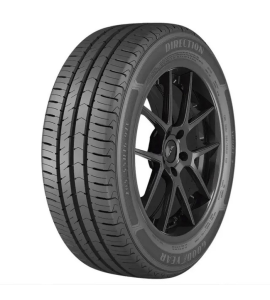 Pneu Goodyear Direction 2 Sport Aro 15 195/65R15 91V Assimétrico Radial