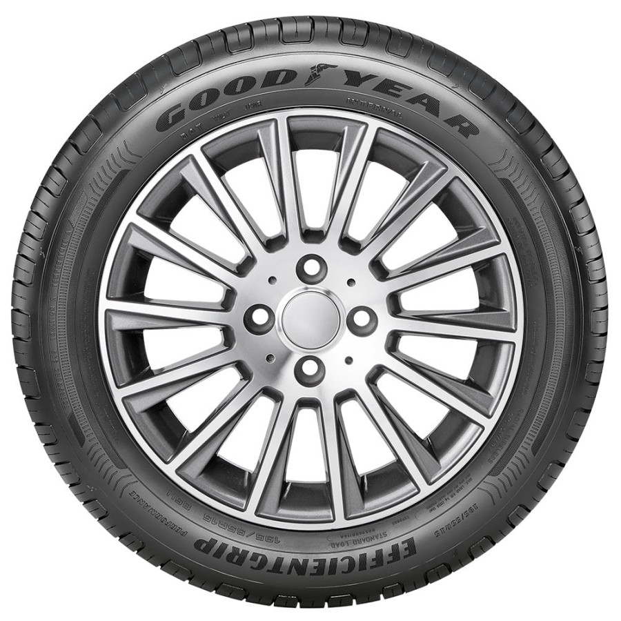 Pneu Aro 18 Goodyear Efficient Performance 225/45R18 95W