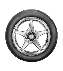 Pneu Aro 19 Goodyear 255/40R19 Eagle F1 Asymmetric 100Y