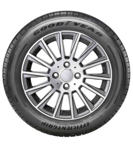 Pneu Aro 17 Goodyear Efficientgrip Performance 205/55R17 91V